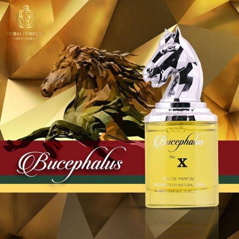 Nước hoa Armaf Bucephalus X Nước hoa Armaf Bucephalus X