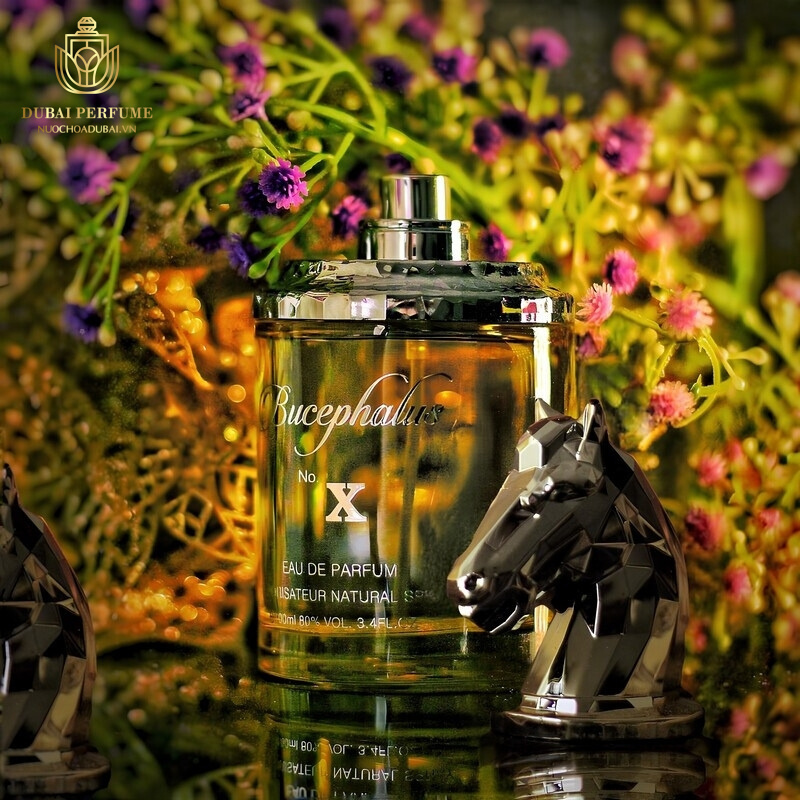 Nước hoa Armaf Bucephalus X Nước hoa Armaf Bucephalus X