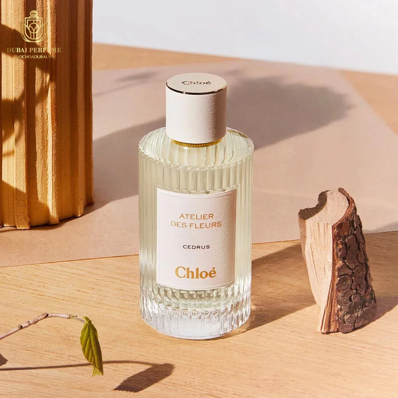 Chloe-Atelier-Des-Fleurs-Rosa-Damascena