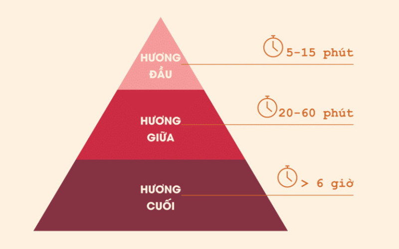 Cách nhận biết hương đầu, hương giữa và hương cuối nước hoa Dubai