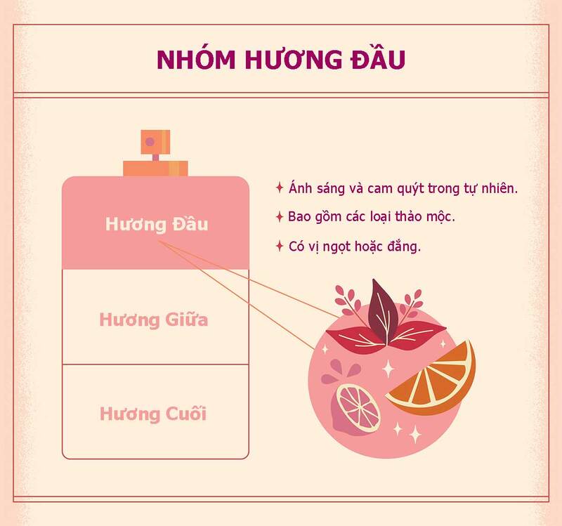 Cách nhận biết hương đầu, hương giữa và hương cuối nước hoa Dubai