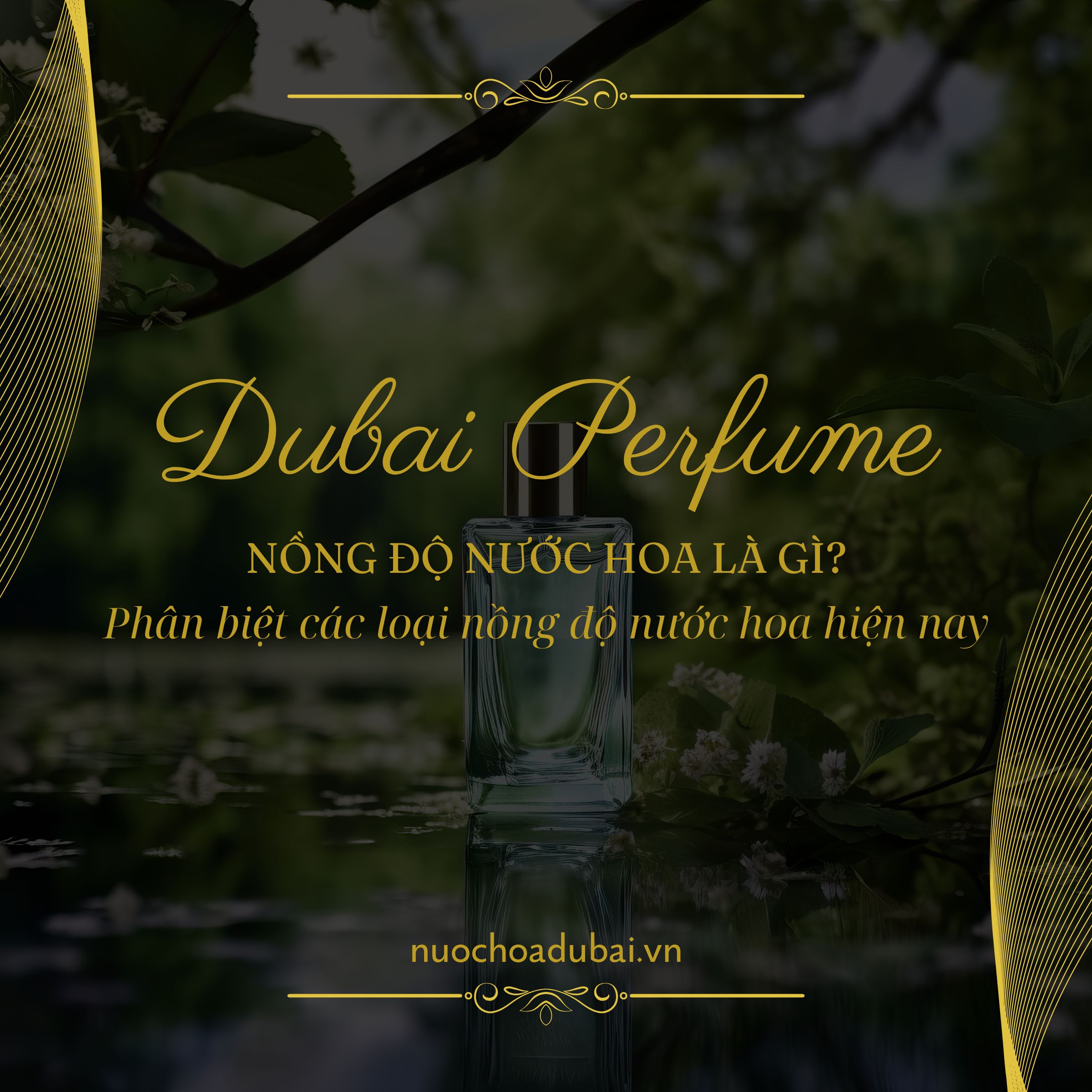 Nồng độ nước hoa là gì? Phân biệt các loại nồng độ nước hoa hiện nay
