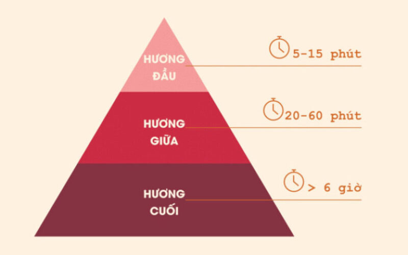 Thành phần của nước hoa là gì? Cấu tạo, công thức tạo ra nước hoa