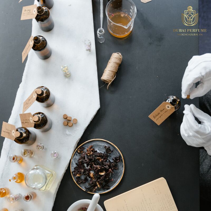 Thành phần của nước hoa là gì? Cấu tạo, công thức tạo ra nước hoa