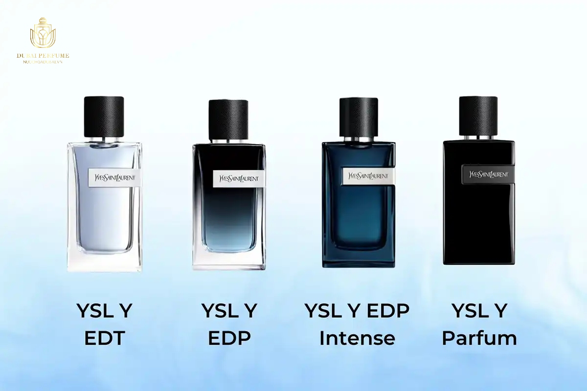 Các loại YSL Các loại YSL