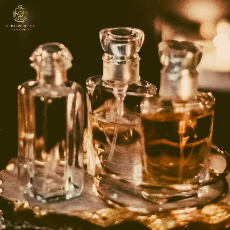 Mùi nước hoa Versace thơm nhất Mùi nước hoa Versace thơm nhất